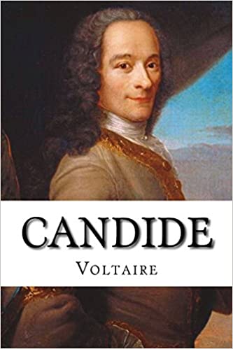 Novel Yang Paling Terkenal Dalam Sastra Perancis II 